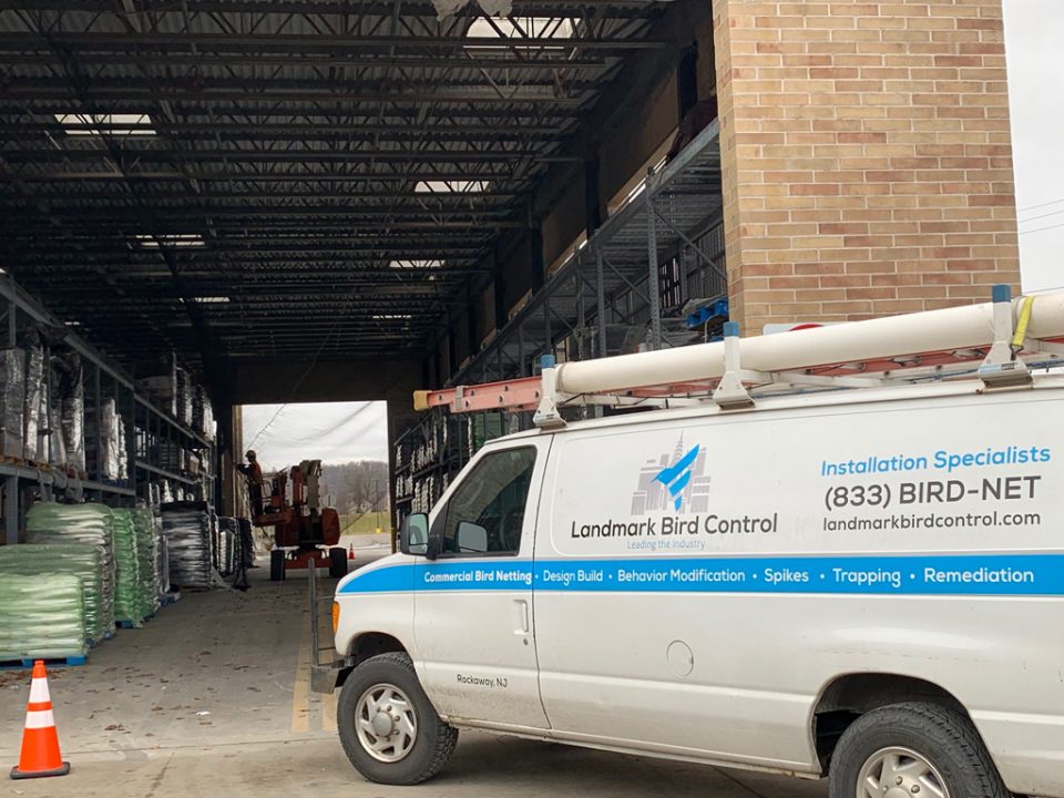 About Us Landmark Bird Control , Bird Netting , Bird Control , Bird