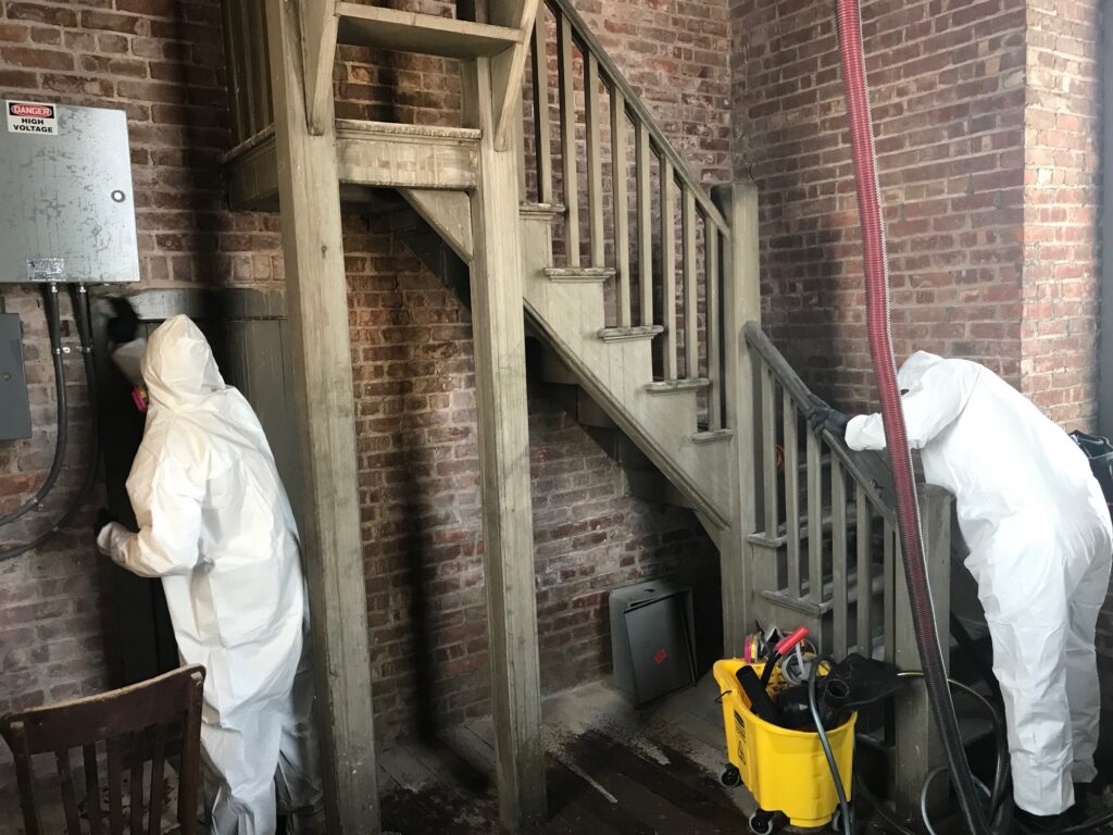 Remediation and Guano Abatement
