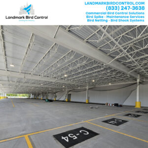 Bird Netting Installation NJ