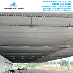 Bird Netting Installation NJ