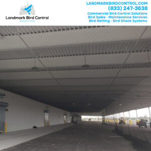 Bird Netting Installation NJ