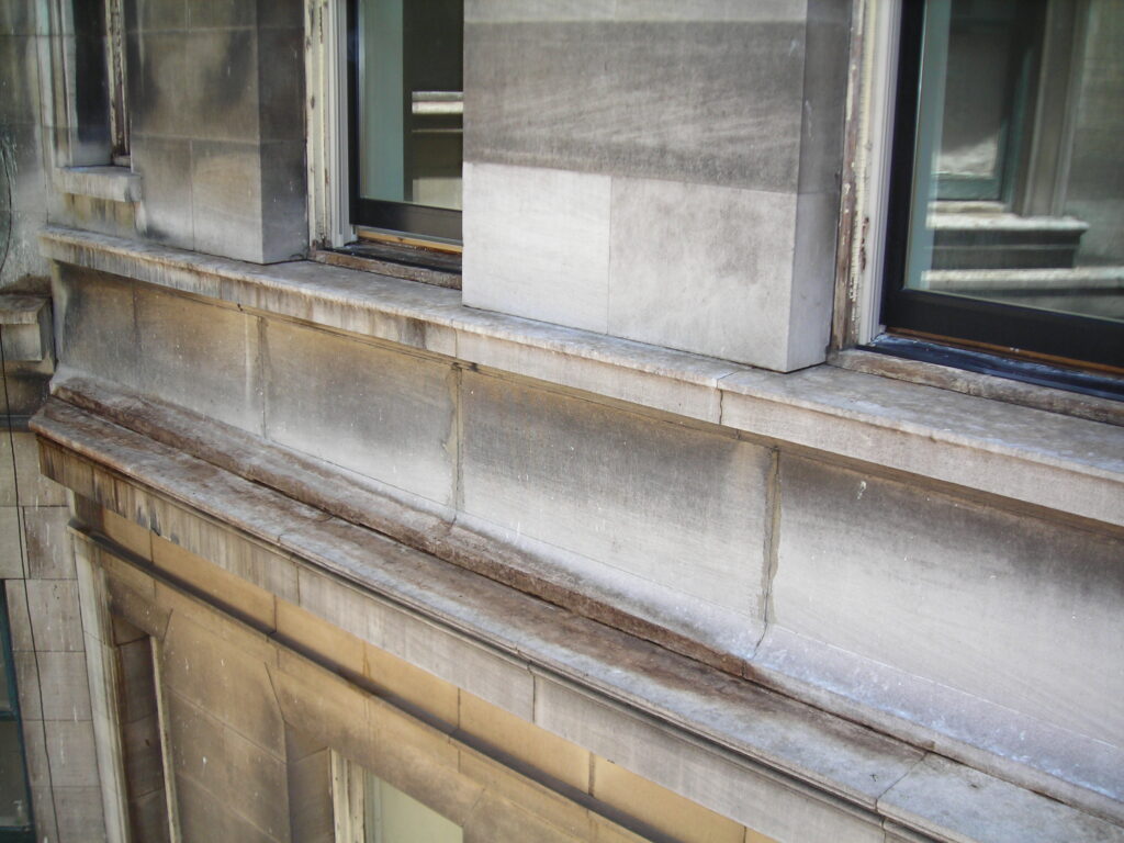 Remediation and Guano Abatement