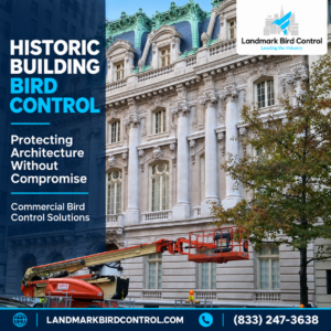 Commercial Bird Proofing NYC