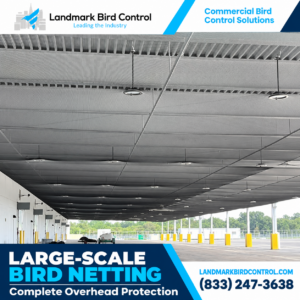 Commercial Bird Proofing NYC