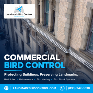 Commercial Bird Proofing NYC
